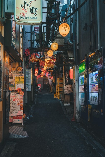 每日大赛